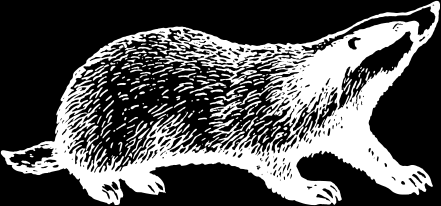 badger